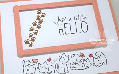 Celebrating Sunday with a Cat Card