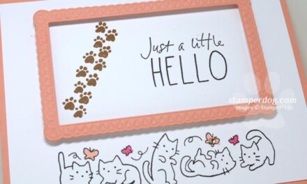 Celebrating Sunday with a Cat Card