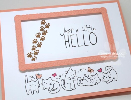 Cat Card