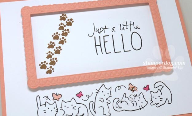 Celebrating Sunday with a Cat Card