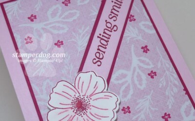 How About That Velvet Embossed Paper!