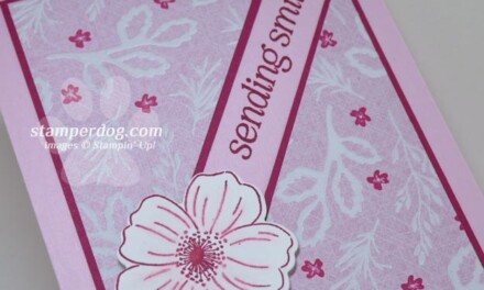 How About That Velvet Embossed Paper!