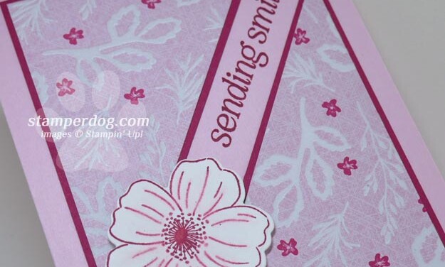 How About That Velvet Embossed Paper!
