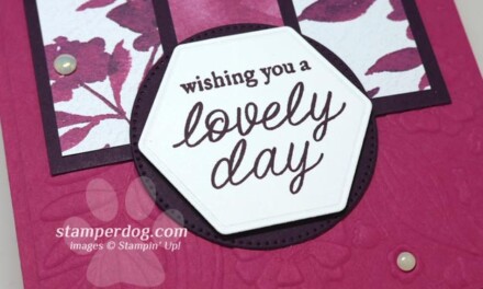 Is This a Get Well Card?