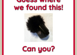 Can You Guess Where We Found It?