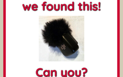 Can You Guess Where We Found It?