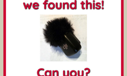 Can You Guess Where We Found It?