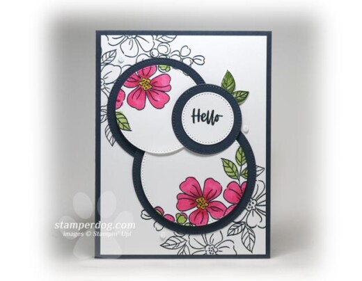 Double Spotlight Card