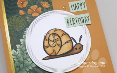 A Snail on a Belated Birthday Card
