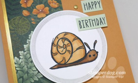 A Snail on a Belated Birthday Card