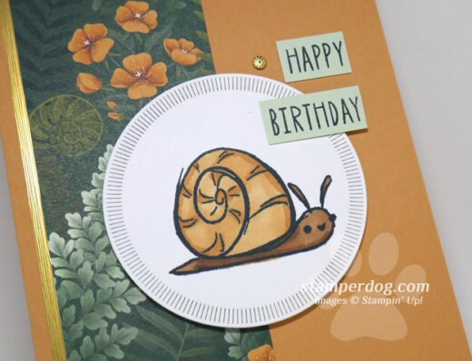 Belated Birthday Card