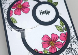 We Loved Our Double Spotlight Card