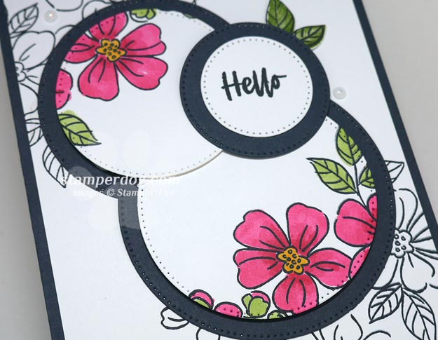 We Loved Our Double Spotlight Card