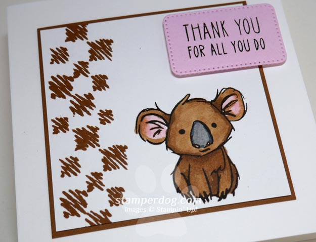 Little Square Koala Card