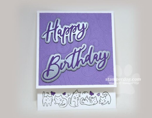Cat Birthday Card
