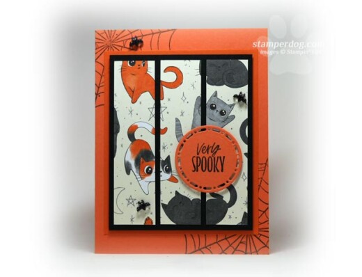 Cat Halloween Card
