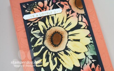 Our Artsy Daisy Card
