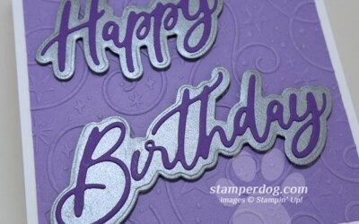Cat Birthday Card