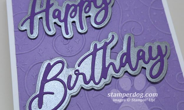 Cat Birthday Card