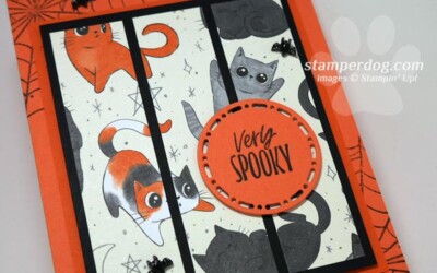 Ready for a Cat Halloween Card?