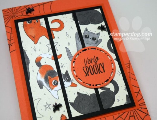 Cat Halloween Card