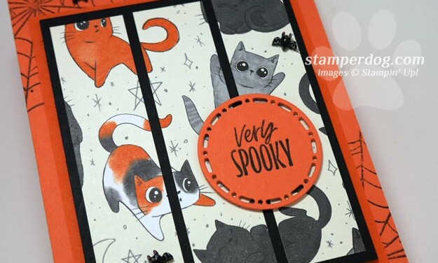 Ready for a Cat Halloween Card?